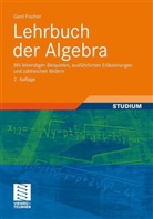 Gerd Fischer - Lehrbuch der Algebra