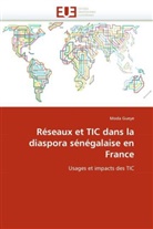 Moda Gueye, Gueye-m - Reseaux et tic dans la diaspora