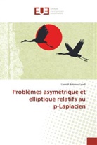 Liamidi Arèmou Leadi, Leadi-L - Problemes asymetrique et