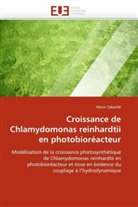 Hosni Takache, Takache-H - Croissance de chlamydomonas