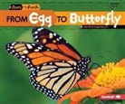 Shannon Zemlicka - From Egg to Butterfly