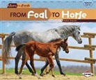 Robin Nelson - From Foal to Horse