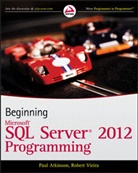 Pau Atkinson, Paul Atkinson, Professor Paul Atkinson, Robert Vieira, Vieira Robert - Beginning Microsoft SQL Server 2011 Programming