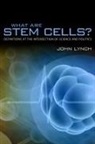 John Lynch, John Alexander Lynch - What Are Stem Cells?
