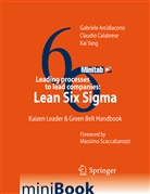 Gabriel Arcidiacono, Gabriele Arcidiacono, Claudi Calabrese, Claudio Calabrese, Kai Yang - Leading processes to lead companies: Lean Six Sigma