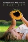Elizabeth Scott, Lisa Fyfe - Between Here and Forever