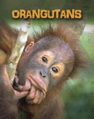 Buffy Silverman, Buffy/ Colich Silverman - Orangutans