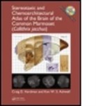 Ken W. S. Ashwell, Ken W. S. (University of New South Wales Ashwell, Ashwell Ken W. S., Craig D. Hardman, Craig D. (University of New South Wales Hardman, Craig D. Ashwell Hardman... - Stereotaxic and Chemoarchitectural Atlas of the Brain of the Common
