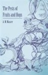 A. M. Massee - The Pests of Fruits and Hops