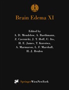 A. Baethmann, Z. Czernicki, J. T. Hoff, J.T. Hoff, U. Ito, Umeo Ito... - Brain Edema XI