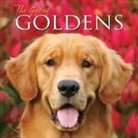 Willow Creek Press, Willow Creek Press - The Gift of Goldens