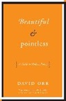 David Orr - Beautiful & Pointless