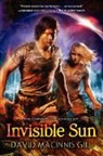 David Macinnis Gill - Invisible Sun