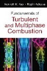 Ragini Acharya, Acharya Ragini, Kenneth K. Kuo, Kenneth Kuan Kuo, Kenneth Kuan-yun Kuo, Kenneth Kuan-Yun Acharya Kuo... - Fundamentals of Turbulent and Multi-Phase Combustion