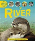 Sean Callery - Life Cycles: River
