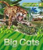 Jinny Johnson, Claire Llewellyn, Peter Bull - Us Explorers: Big Cats