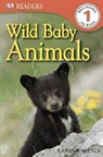 Karen Wallace, Wallace Karen - Wild Baby Animals