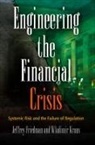 Jeffrey Friedman, Jeffrey Kraus Friedman, Jeffrey/ Kraus Friedman, Wladimir Kraus - Engineering the Financial Crisis