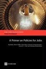 Soamiely Andriamananjara, Breda Griffith, Raj Nallari, Raj/ Griffith Nallari, Yidan Wang - A Primer on Policies for Jobs