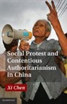Xi Chen, Chen Xi - Social Protest and Contentious Authoritarianism in China