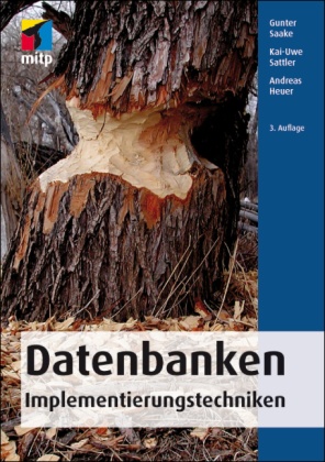 Heuer, Andreas Heuer, Saak, Gunte Saake, Gunter Saake, … - Datenbanken-Implementierungstechniken