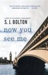 S. J. Bolton, Sharon Bolton - Now You See Me