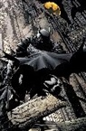 Grant Morrison, Grant/ Nicieza Morrison, Fabian Nicieza, Various, Tony S. Daniel, Various - Batman