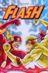 Geoff Johns - Flash Omnibus by Geoff Johns 2