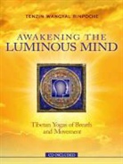 Tenzin Wangyal Rinpoche, Tenzin Wangyal Rinpoche - Awakening the Luminous Mind