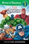 Dbg, Disney Book Group, Thomas Macri, Not Available (NA), Dbg, Disney Book Group - Here Come the Avengers