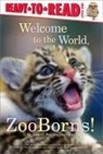 Andrew Bleiman, Andrew/ Eastland Bleiman, Chris Eastland - Welcome to the World, Zooborns!
