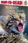 Andrew Bleiman, Bleiman Andrew, Chris Eastland, Eastland Chris - Welcome to the World, Zooborns!