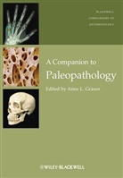 Grauer, Al Grauer, Anne L. Grauer, Anne L. (EDT) Grauer, Anne L. (Loyola University of Chicago Grauer, Anne L. Grauer... - Companion to Paleopathology