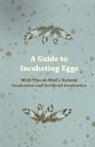 Anon - A Guide to Incubating Eggs - With Tips on Bird's Natural Incubation and Artificial Incubation
