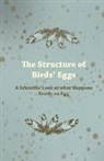 Anon - The Structure of Birds' Eggs - A Scientific Look at what Happens Inside an Egg