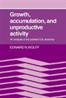 Wolff Edward N., Edward N. Wolff, Edward N. (New York University) Wolff, Wolff Edward N. - Growth, Accumulation, and Unproductive Activity
