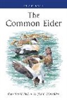 John Coulson, John C. Coulson, Coulson John, Chris Waltho, Chris Coulson Waltho, Waltho Chris - The Common Eider