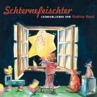 Andrew Bond - Schternefeischter (Hörbuch)