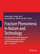 Davide Bigoni, Angel Carini, Angelo Carini, Massimiliano Gei, Massimiliano Gei et al, Alberto Salvadori - Fracture Phenomena in Nature and Technology