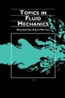 Rene Chevray, René Chevray, Rene Mathieu Chevray, Jean Mathieu - Topics in Fluid Mechanics