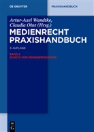 Ilja Czernik, Claire Dietz, Jan Ehrhardt, Florian Hensel, Ol Jani, Ole Jani... - Medienrecht Praxishandbuch - Band 2: Schutz von Medienprodukten