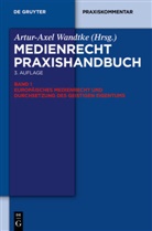 Oliver Castendyk, Oliver Castendyk u a, Soenke Fock, Andrea Kyre, Ferdinand Melichar, Claudi Ohst... - Medienrecht Praxishandbuch - Band 1: Europäisches Medienrecht und Durchsetzung des geistigen Eigentums