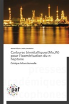 Anne-Félicie Lamic-Humblot, Lamic-humblot-a - Carbures bimetalliques mo,w pour