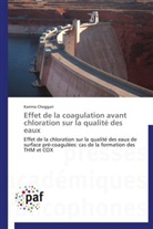 Karima Cheggari, Cheggari-k - Effet de la coagulation avant