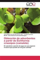 Cristin Carmona Murillo, Cristina Carmona Murillo, El de Heredia Rodríguez, Elena Beltrán de Heredia Rodríguez, Jesu Beltran de Heredia Alonso, Jesus Beltran de Heredia Alonso - Obtención de adsorbentes a partir de Eichhornia crassipes (camalote)