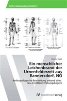 Simona Hajek - Ein menschlicher Leichenbrand der Urnenfelderzeit aus Rannersdorf, NÖ