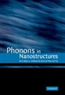 Mitra Dutta, Michael A. Stroscio, Michael A. Dutta Stroscio - Phonons in Nanostructures