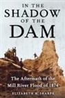 Elizabeth Sharpe, Elizabeth M. Sharpe - In the Shadow of the Dam, the Aftermath
