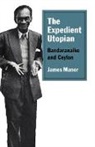 James Manor - Expedient Utopian