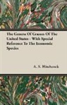 A. S. Hitchcock - The Genera of Grasses of the United Stat
